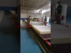 টিডিপিএ-২১৫০ হরিজন্টাল ফোম কাটার রোড রেল সহ ফ্ল্যাট কাটিং মেশিন